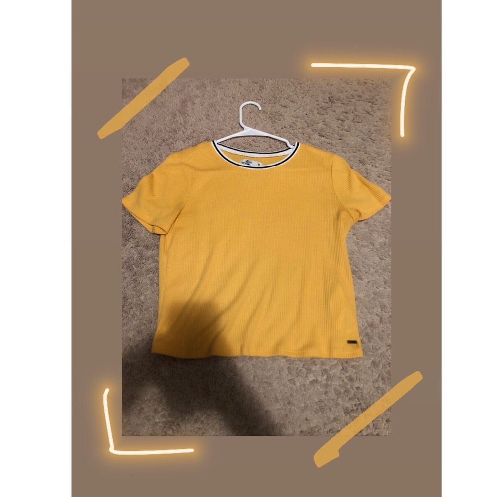 Hollister T